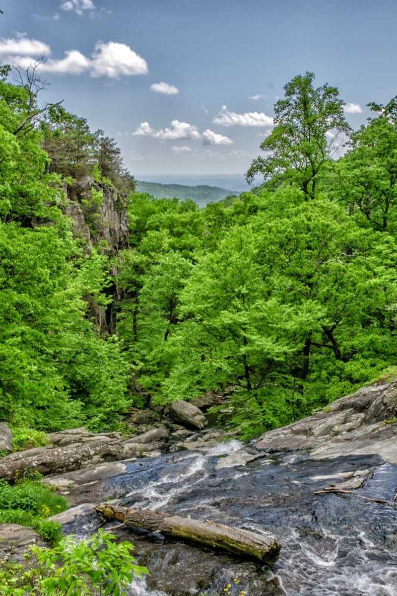 免费行情9.1网站不用下载官方版下载-免费行情9.1网站不用下载正版v1.3.5-视频动漫网站入口大全在线免费页面3